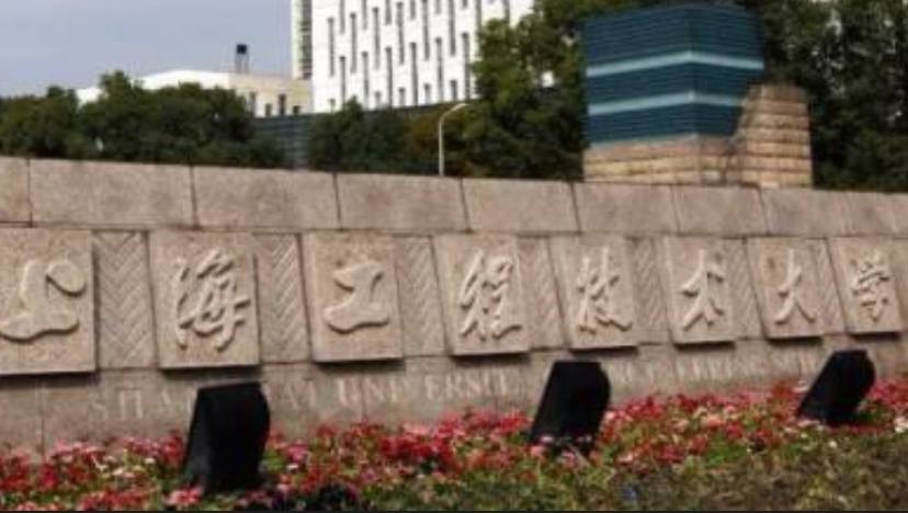 上海工程技术大学研究生自杀事件引发社会关注，导师刘芹被指精神虐待学生