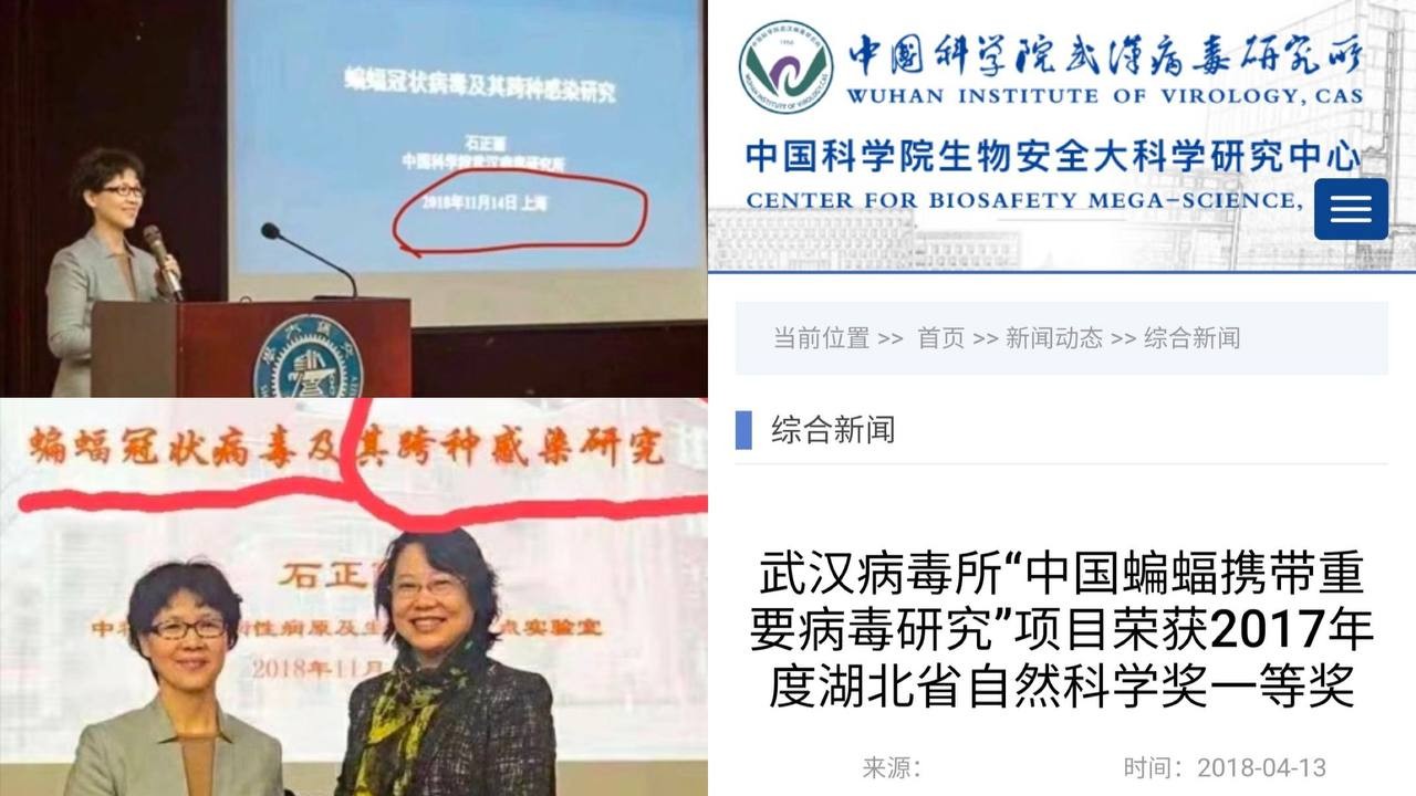 武汉病毒所黑幕：基因改造蝙蝠冠状病毒埋下全球疫情隐患
