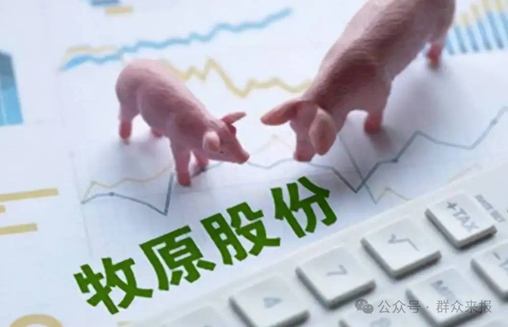 牧原股份陷“疫苗门”：违规种猪致疫病全场覆灭，行业巨头面临信任危机