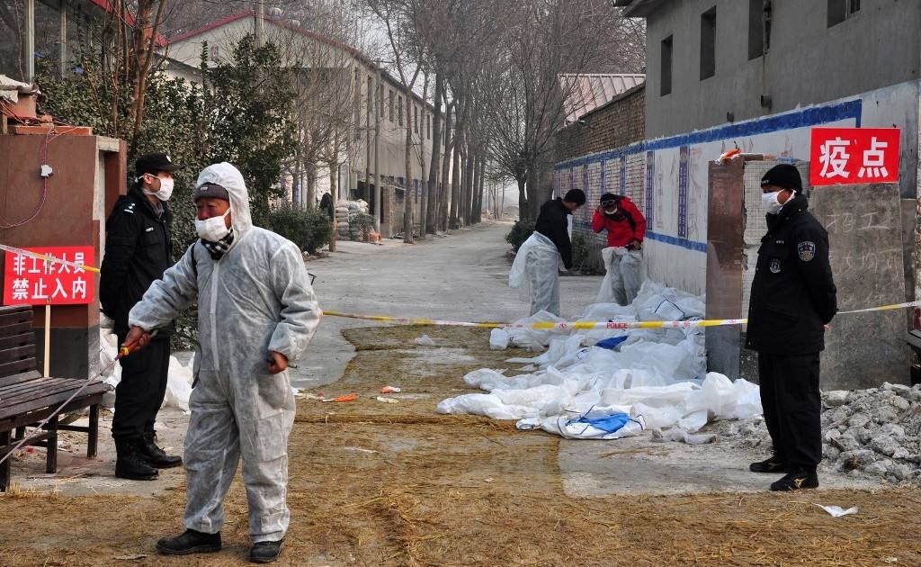中国再增两例H9N2禽流感病例，疫情扩散引发担忧